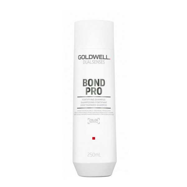 Champú Goldwell 250 ml