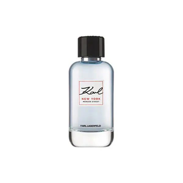 Perfume Hombre Lagerfeld KL009A02 EDT 100 ml