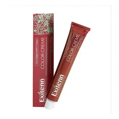 Permanent Dye Color Creme Exitenn Color Creme Nº 570 Light Choco Brow