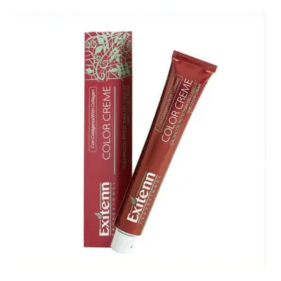 Tinte Permanente Color Creme Exitenn Nº 660 Passion-Red (60 ml)