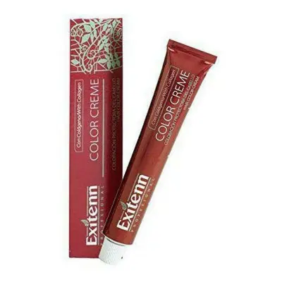 Tinte Permanente Color Creme Exitenn Color Creme Nº V87 (60 ml)