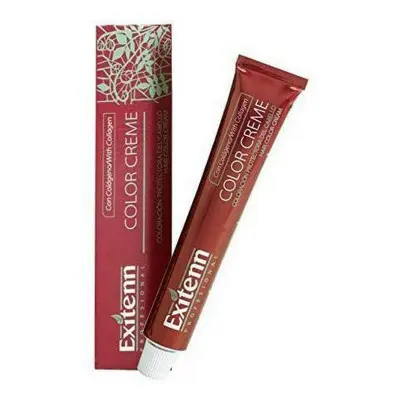 Tinte Permanente Color Creme Exitenn Nº 8 (60 ml)