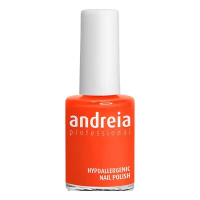 nail polish Andreia nº 106 (14 ml)