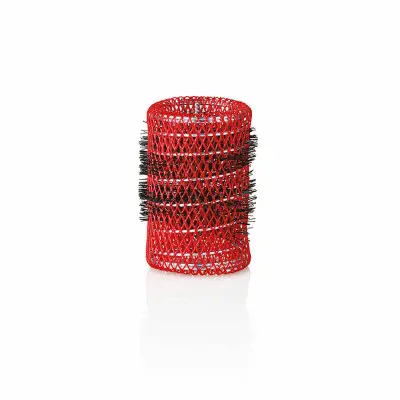 Hair rollers Xanitalia Pro 6 (36 mm)