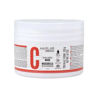 Hair Mask Salerm Hair Lab 250 ml Coloured Hair