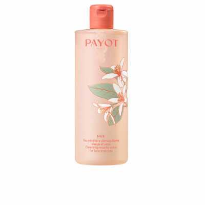 Facial Cleansing Gel Payot NUE 400 ml