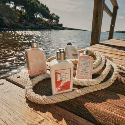 Body Lotion L'Occitane En Provence ROSE L'OCCITANE 250 ml