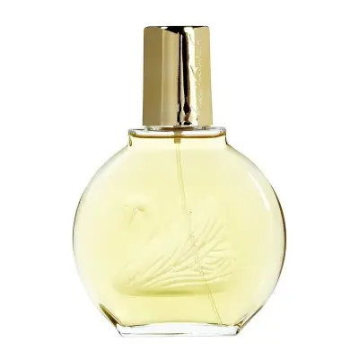 Perfume Mujer Vanderbilt Vanderbilt EDT EDT 100 ml Gloria Vanderbilt