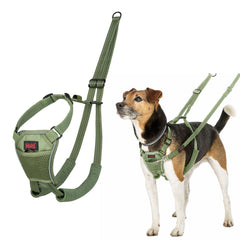 Collection image for: Safety harnesses