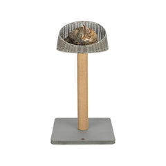 Collection image for: Scratching posts