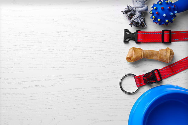 <h2>Pet Products</h2>